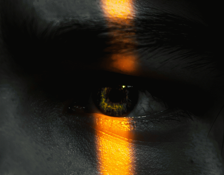 El éxito en franquicia: Por qué el modelo suma pero la ejecución decide