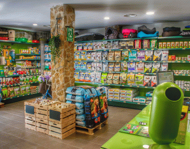 La Clave del Real Estate: Cómo elegir el local que garantiza el éxito de tu franquiciado